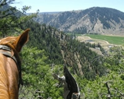 2-Hour Horseback Trail Ride in Taylor Canyon
