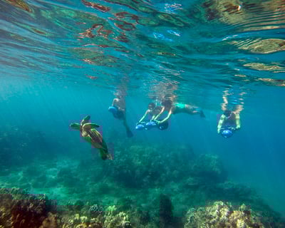 Wailea Beach Sea Scooter Snorkeling Guided Tour
