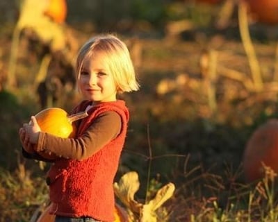 Ride the Pumpkin Express Train to Crowley From Willits