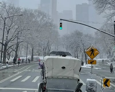 Christmas Carriage Ride in Central Park