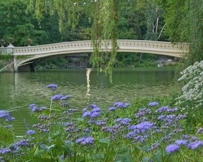 Central Park Secrets Guided Walking Tour
