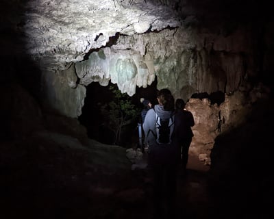 Take a Guided Night Hike Near Austin