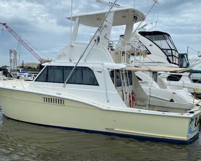 Bradenton Beach Offshore Fishing Charter