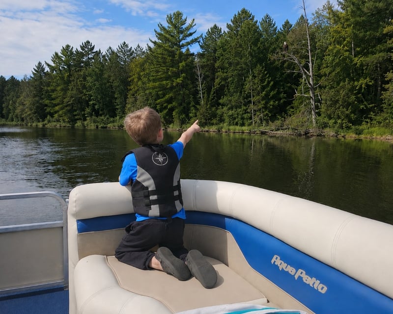 Yellow River Wildlife Pontoon Cruise in Danbury, WI