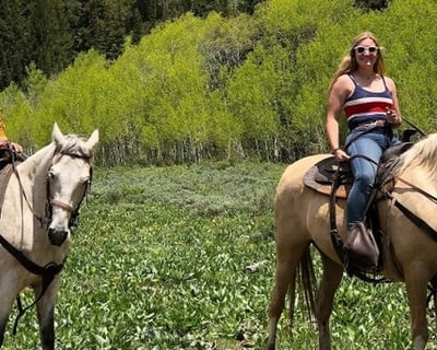 Guided 3-Hour Horseback Ride in Logan Canyon