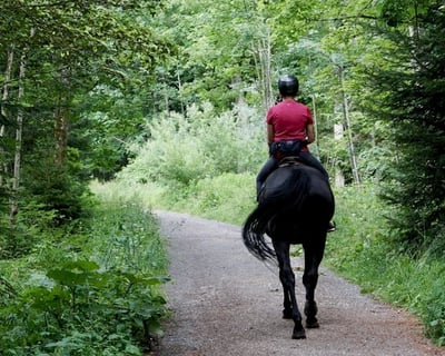 2-Hour Horseback Riding Tour in San Juan