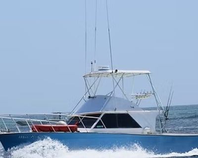 Panama City 4-Hour Trolling Fishing Charter