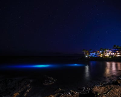 Kauai Twilight and Night Dive for Certified Divers