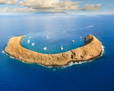 Morning Molokini Snorkel Cruise From Maui
