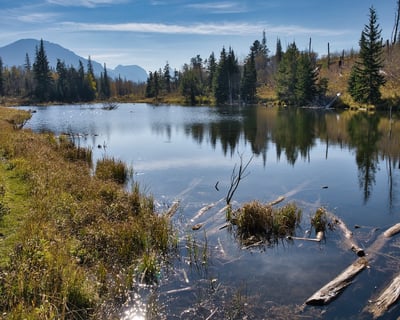Guided Educational Hike in Glacier National Park