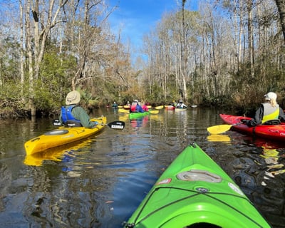 Private Guided Kayak Tour in Beaufort