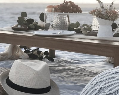 2-Hour Picnic in Sarasota