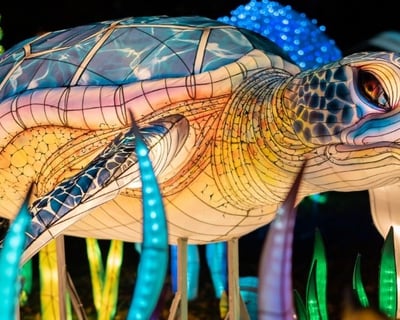 45-Minute Lantern Festival Nightwalk in Miramar Beach