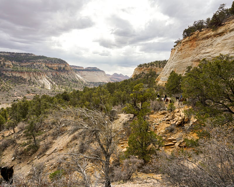 Eastern Zion Mountain Horseback Ride
