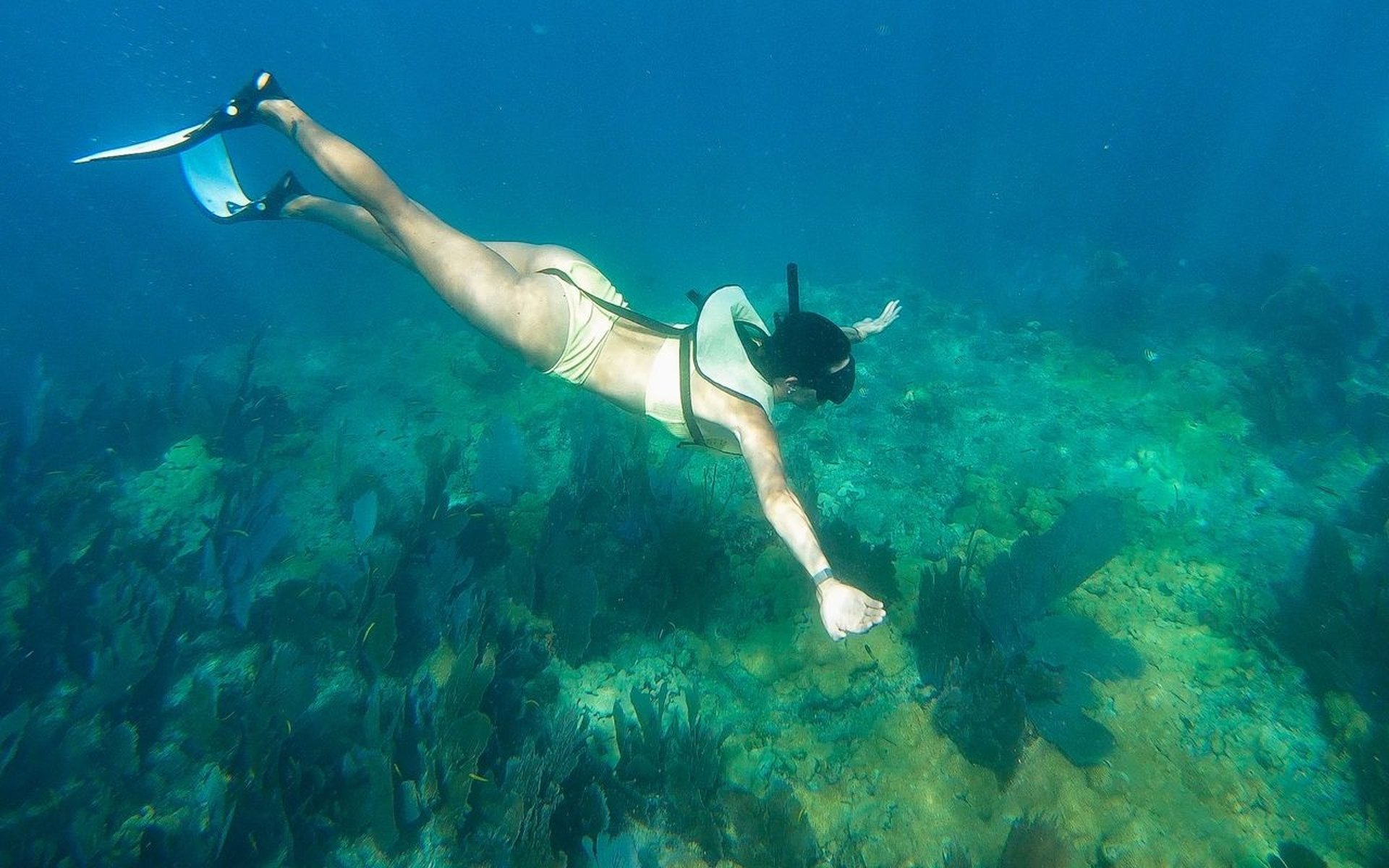 Mimosa Morning Snorkel Sail in Key West