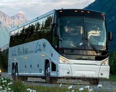 Anchorage to Seward Cruise Transfer With Wildlife Stop