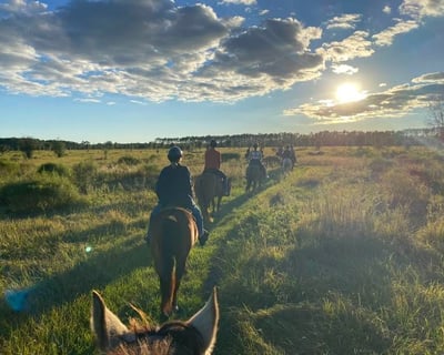 Guided 1- or 2-Hour Horseback Trail Ride in Clermont