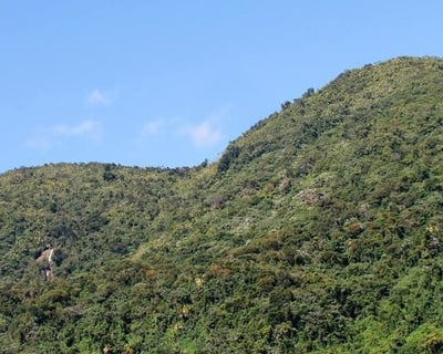 Taino Archaeology Tour to Cueva Ventana