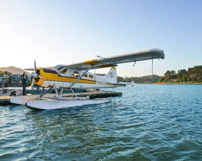 45-Minute San Francisco Bay Area Seaplane Tour