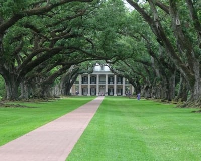 Oak Alley Plantation & Swamp Airboat Tour From New Orleans