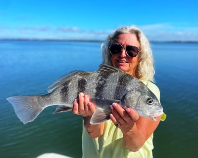 Catch Snook & Redfish on 4-Hour Nearshore Trip