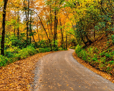 3-Hour Nantahala Scenic Driving Tour