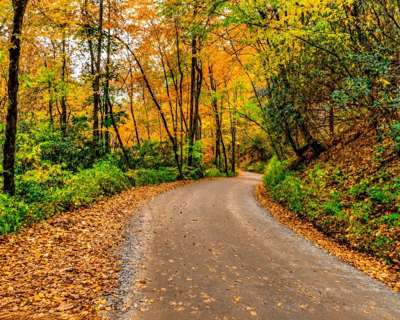 3-Hour Nantahala Scenic Driving Tour