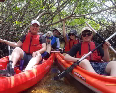 Guided Kayak Through Matlacha's Mangrove Tunnels
