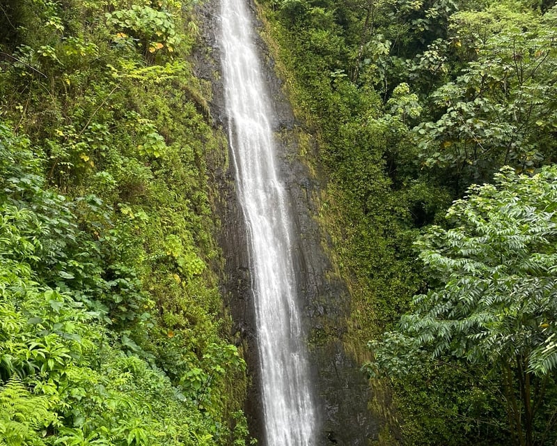 Private Custom Oahu Tour of Culture, History & Nature
