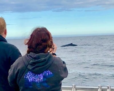 Private Kodiak Whale Charter with Eco Guide