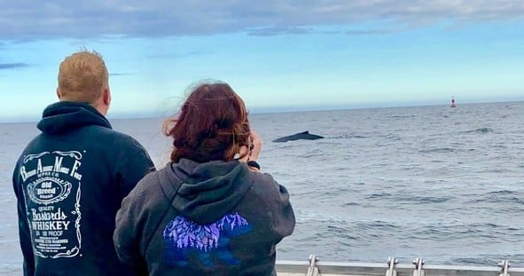 Private Kodiak Whale Charter with Eco Guide