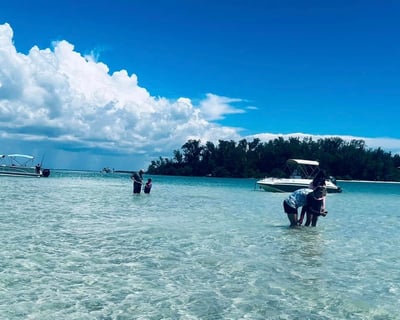 North Port Dolphin & Sandbar Cruise