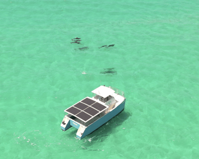 Dolphin Watch & Guided Snorkel Tour in Key West