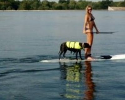Paddleboard Rental on Big Lagoon