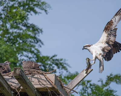 Cayuga Lake Ecology Cruise