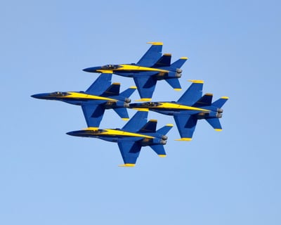 Pensacola Dolphin Watching Cruise
