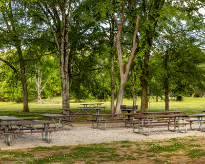 Reserve a Half-Day Picnic Area at Beaver Lake