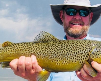 Guided Trout Fishing Trip on Chattahoochee River