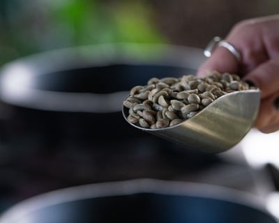 Roast Your Own Kona Coffee & Take Home 4 oz