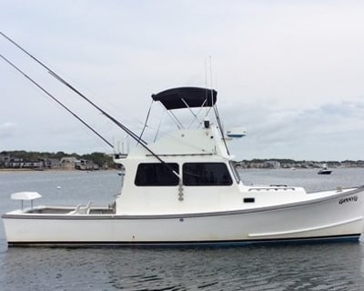 Private Fishing Charter in Provincetown