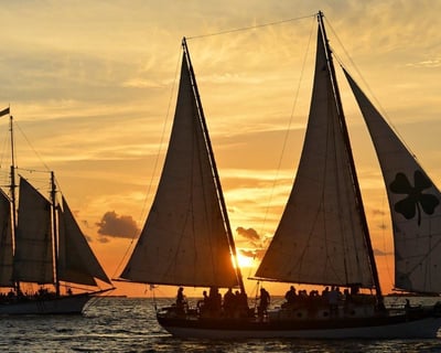 Camden Sunset Sailing Cruise