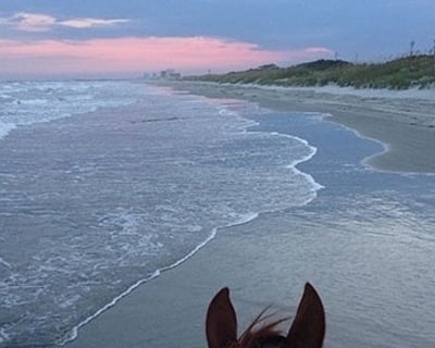 Waites Island Romantic Horseback Ride