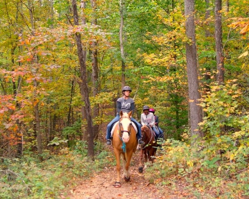 Horseback Trail Ride on 200-Acre Farm in McDonald, TN