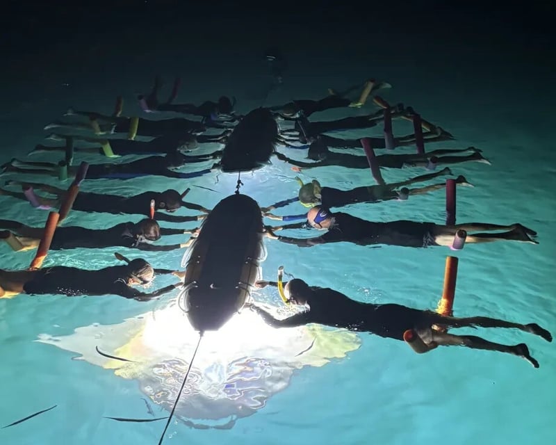 Night Snorkeling in West End, Roatan