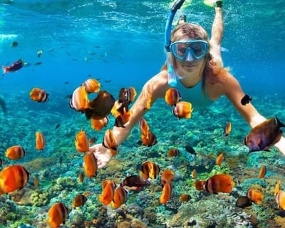 2-Hour Snorkeling Tour in St. Vincent