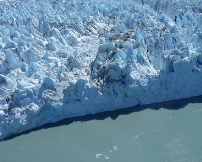 Portage Glacier & Alaska Wildlife Full Day Tour