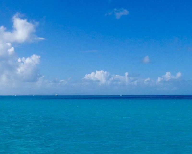 Private Snorkeling Charter in the British Virgin Islands
