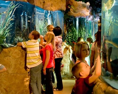 Private Guided Aquarium Tour in Kemah