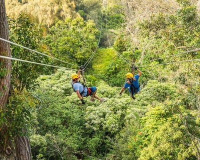 Private Waterfall Zipline in North Kohala