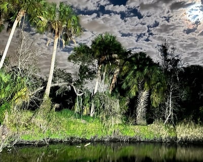 Guided Moonlight Paddle in Wimauma